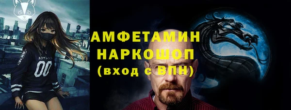 гашик Дмитров