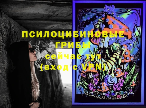 эйфоретик Аркадак