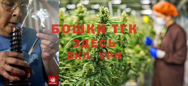 шишки Балахна